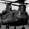 chinook